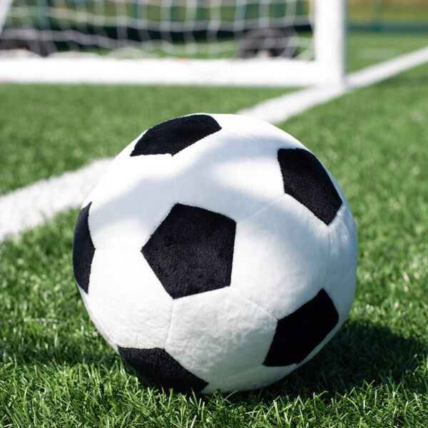 Zippie football Thumbnail